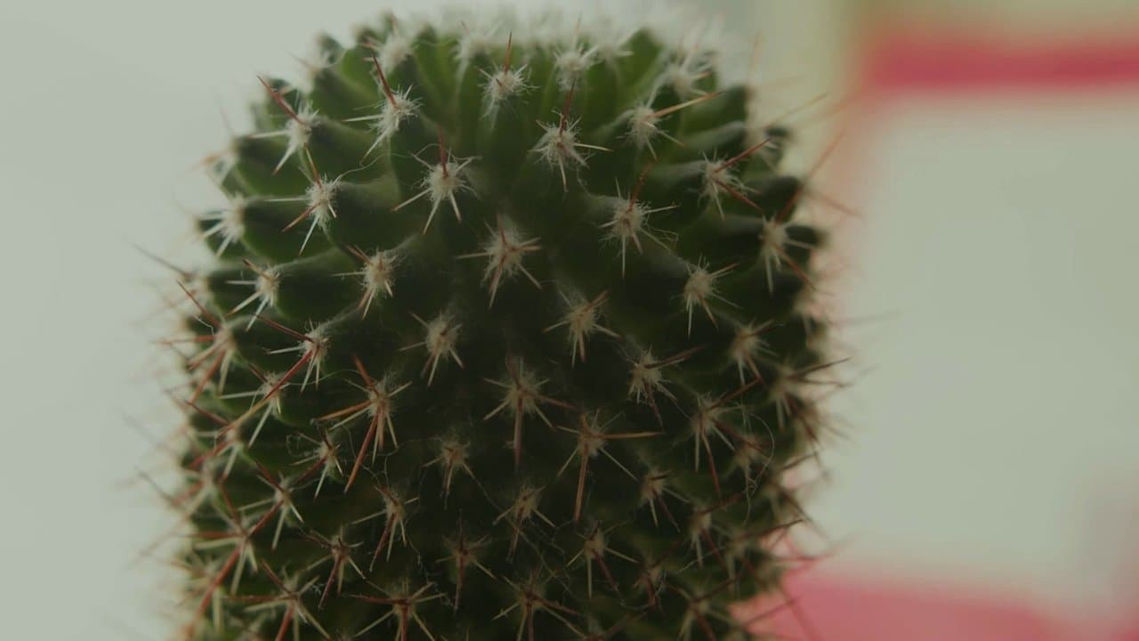 Hook Upの背景画像