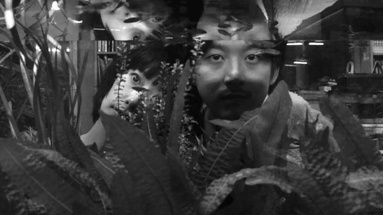 빨강の背景画像