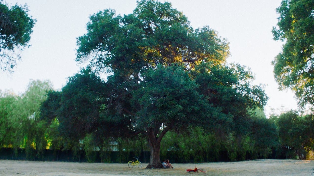 Pareidolia in B Minorの背景画像