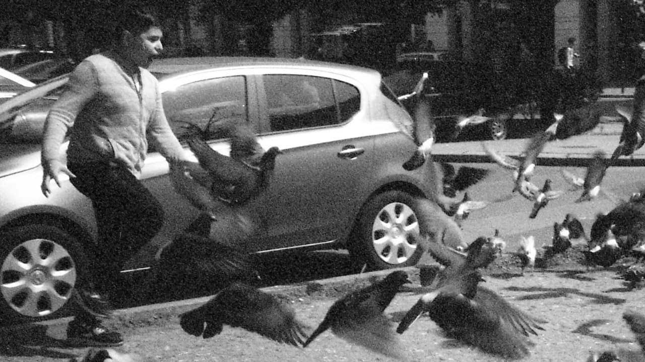 Rekviem egy galambértの背景画像