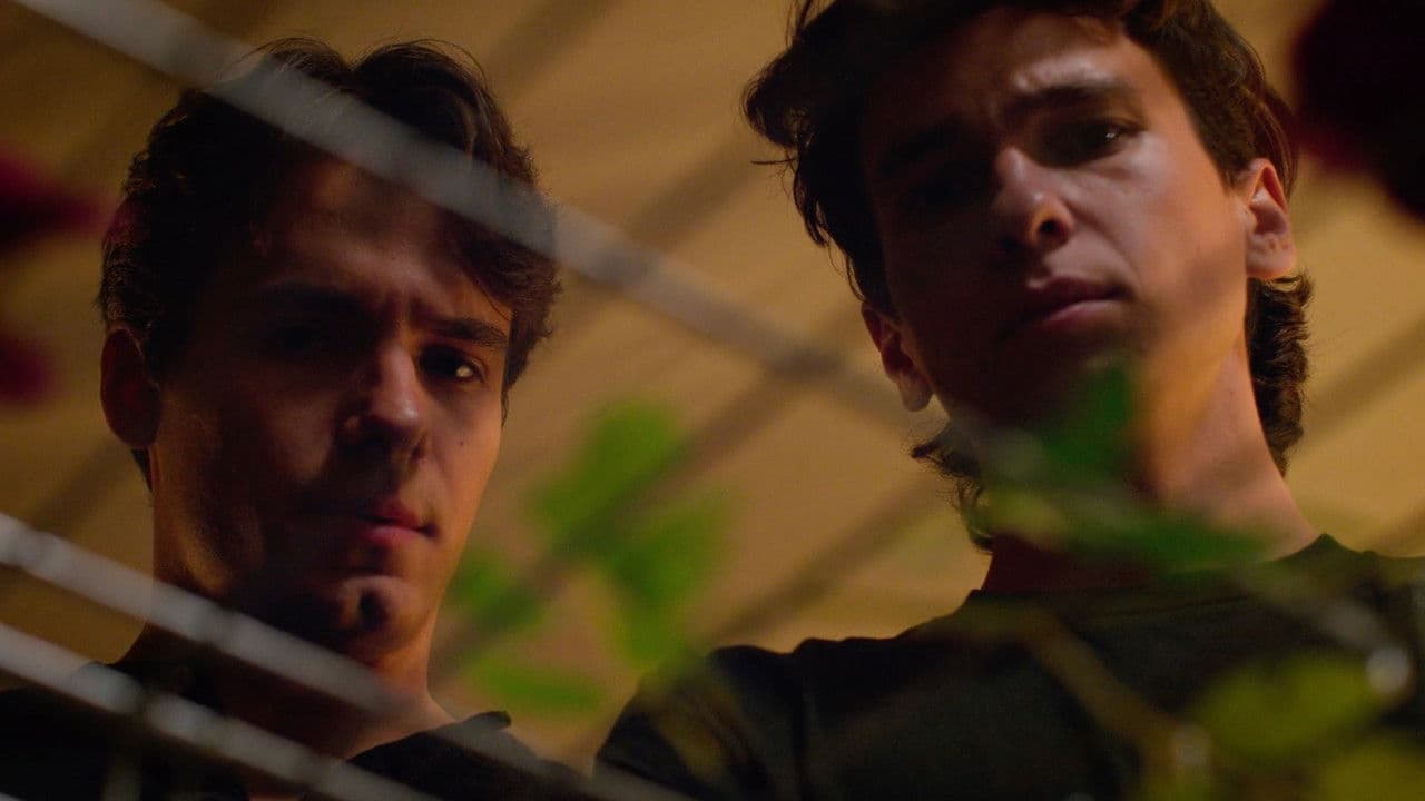 Twice As Shyの背景画像