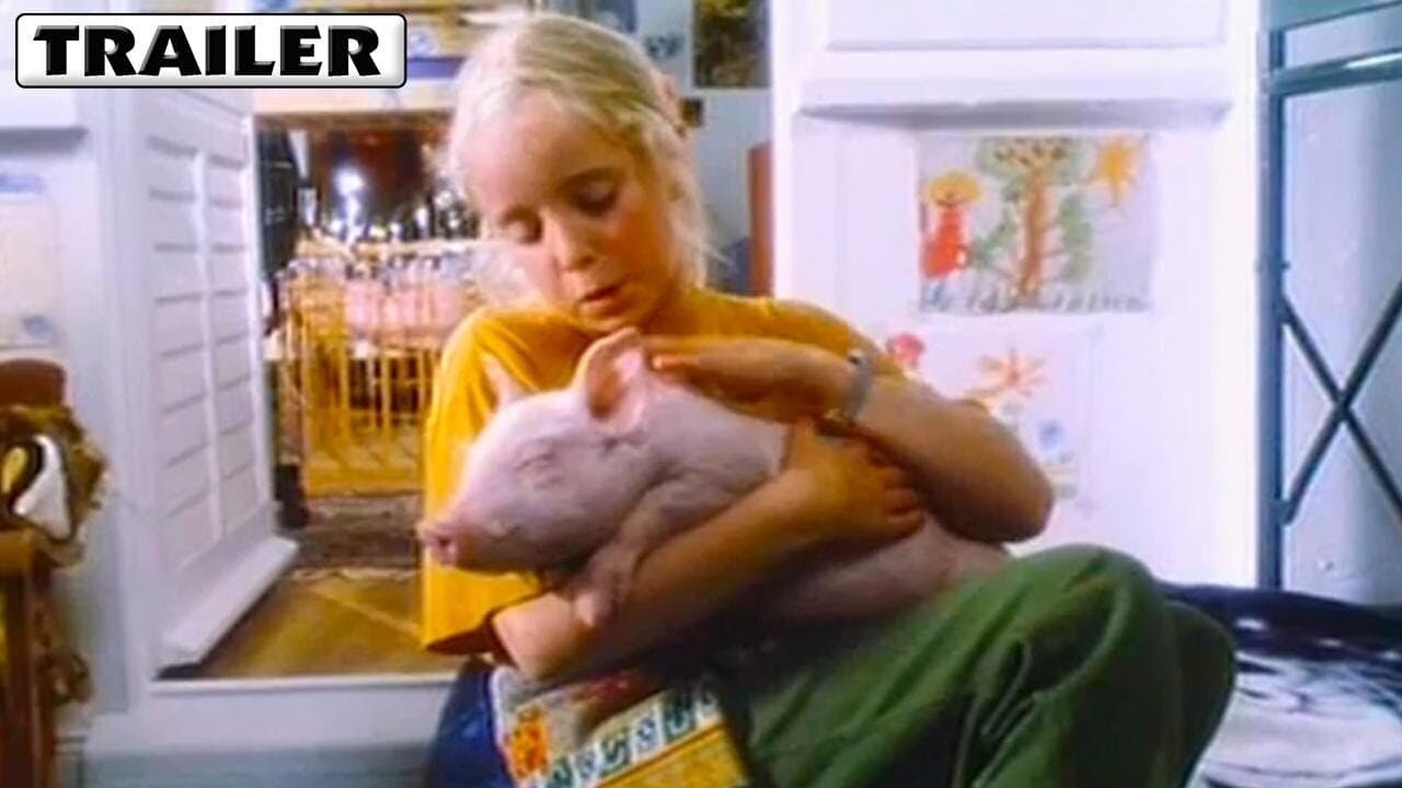 Rennschwein Rudi Rüsselの背景画像