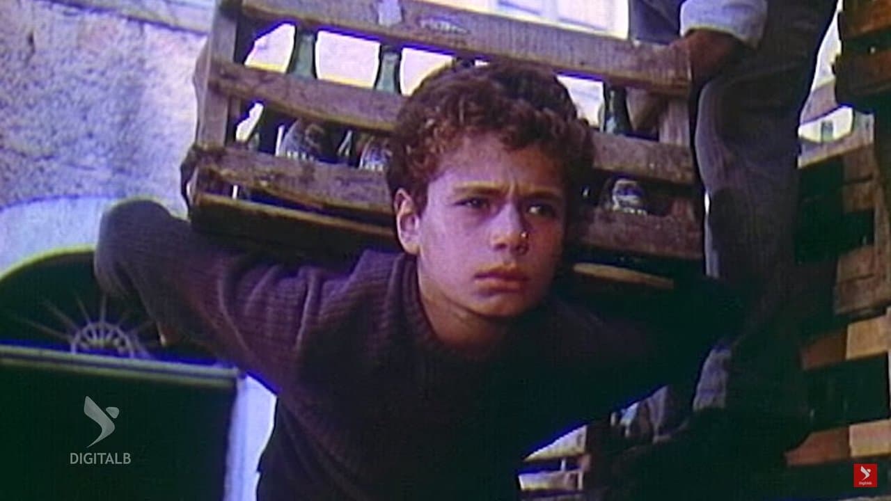 Qortimet e vjeshtësの背景画像