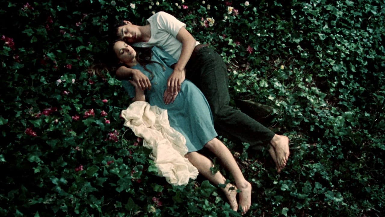 Frágil Como o Mundoの背景画像