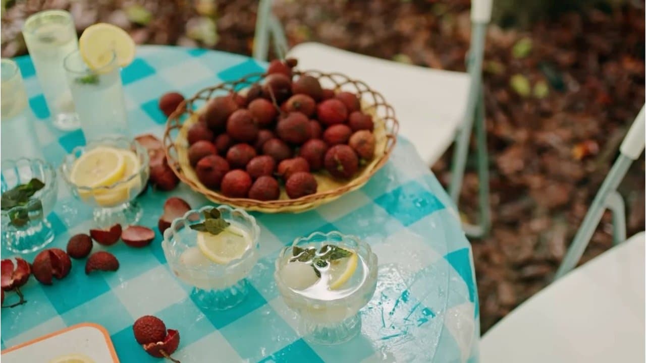 荔枝树下热烈岛の背景画像