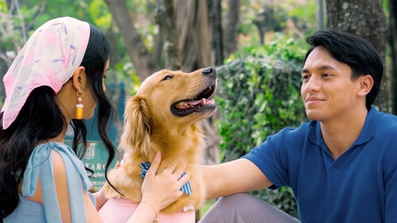 Alibii.comの背景画像