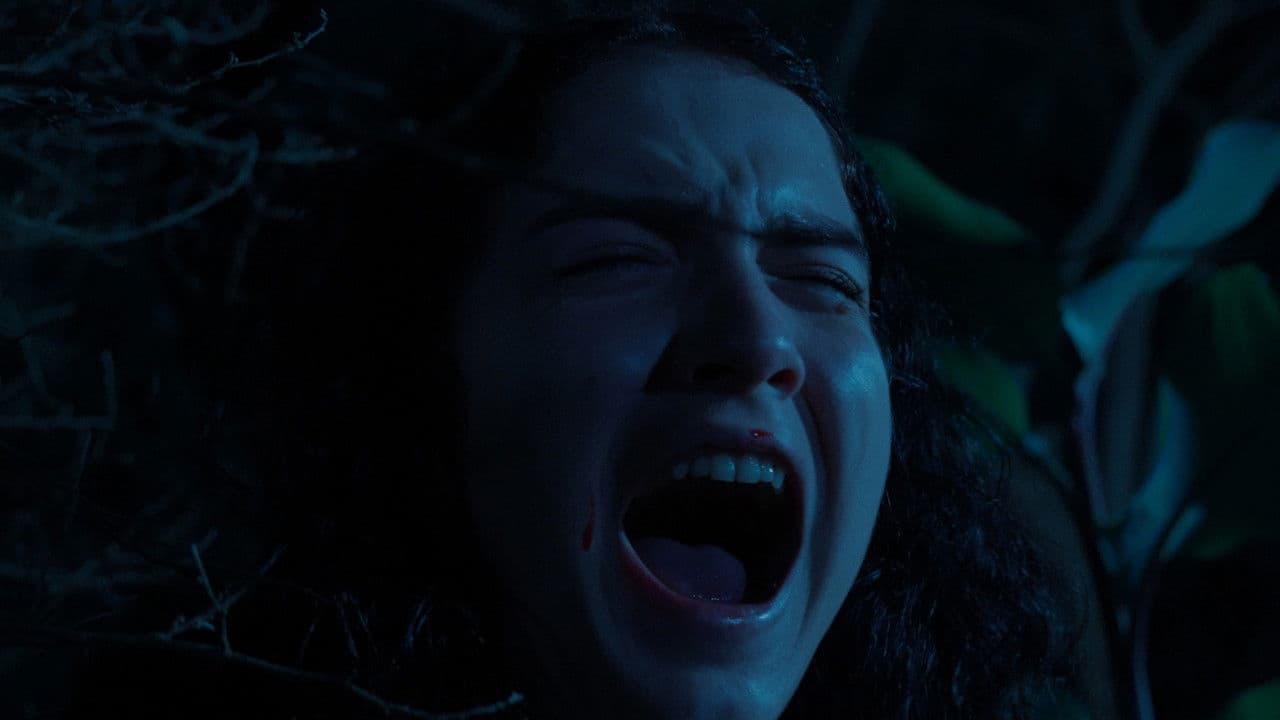 El llanto del perroの背景画像