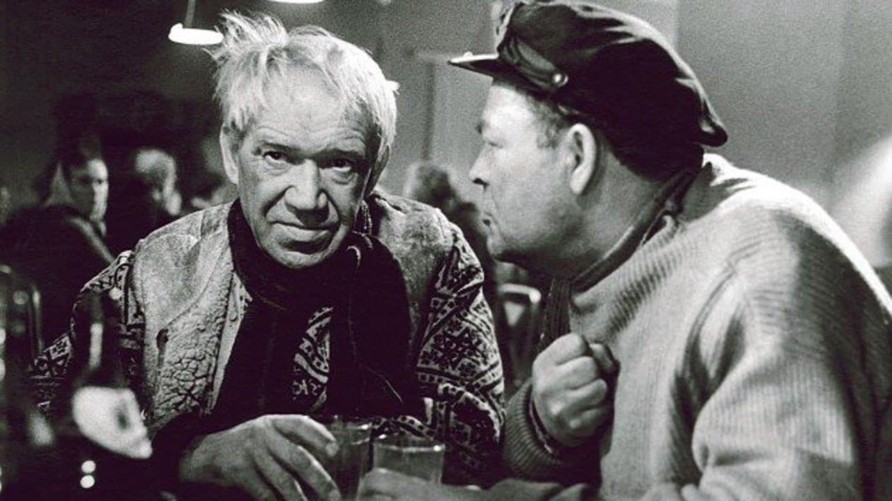 Kirjad Sõgedate külastの背景画像