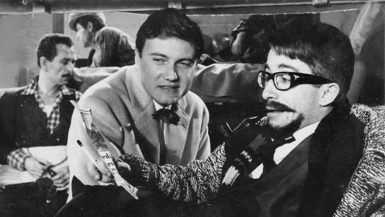 Cici Canの背景画像