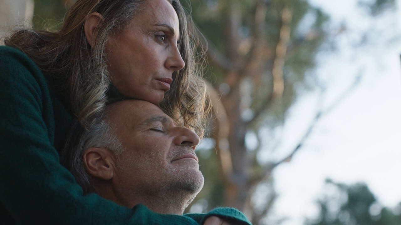 كلب ساكنの背景画像