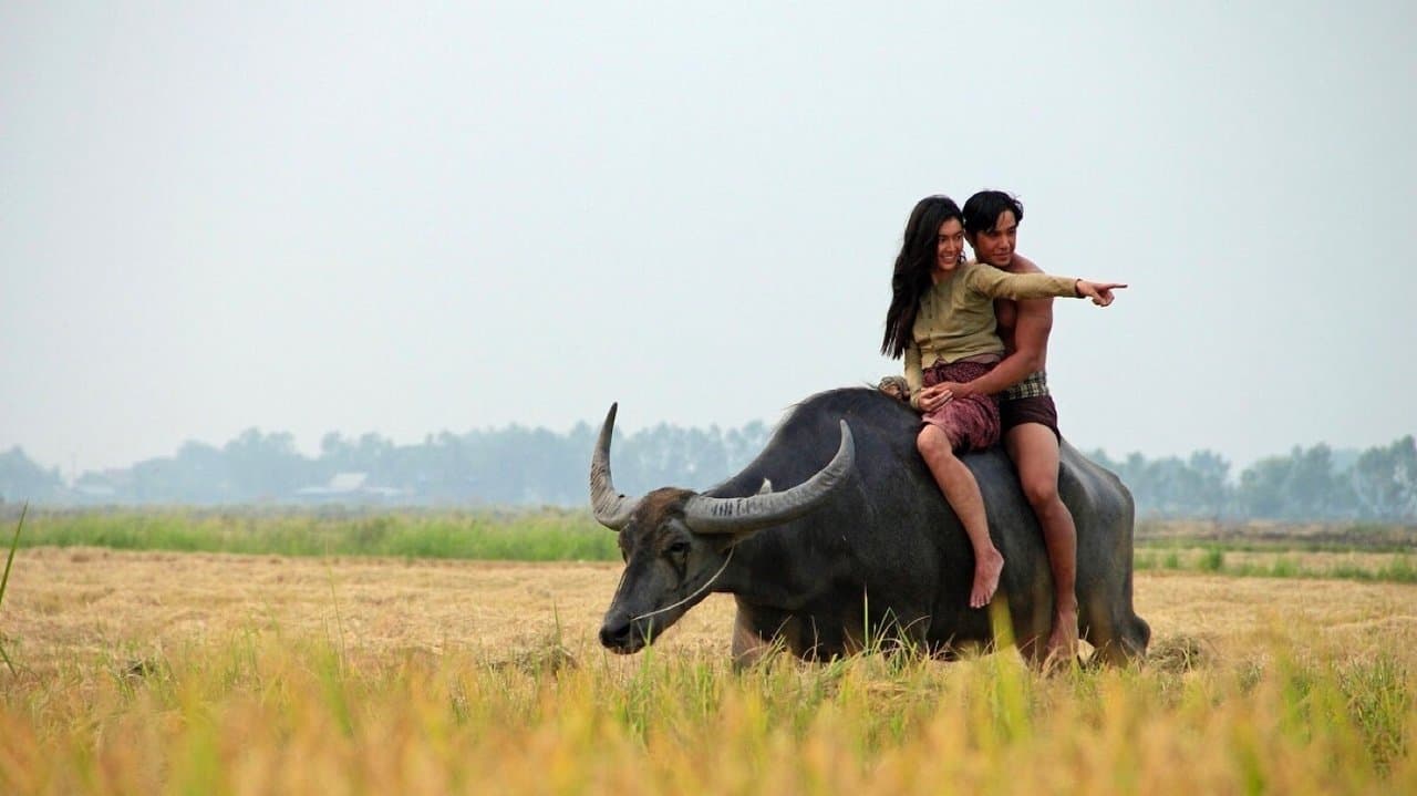 แผลเก่าの背景画像