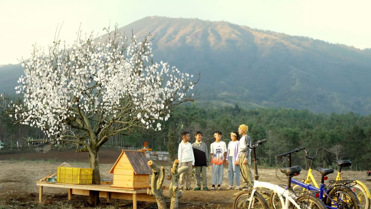 Serdadu Apel Emasの背景画像