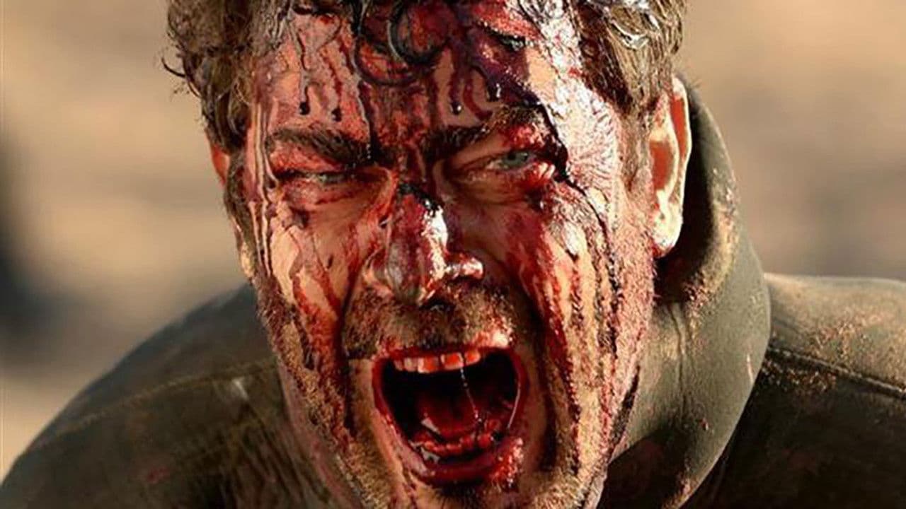 Showmahの背景画像