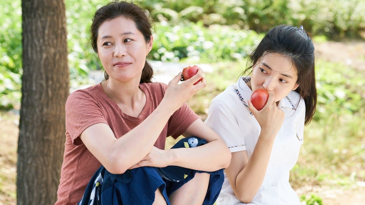 リトル・フォレスト 春夏秋冬の背景画像