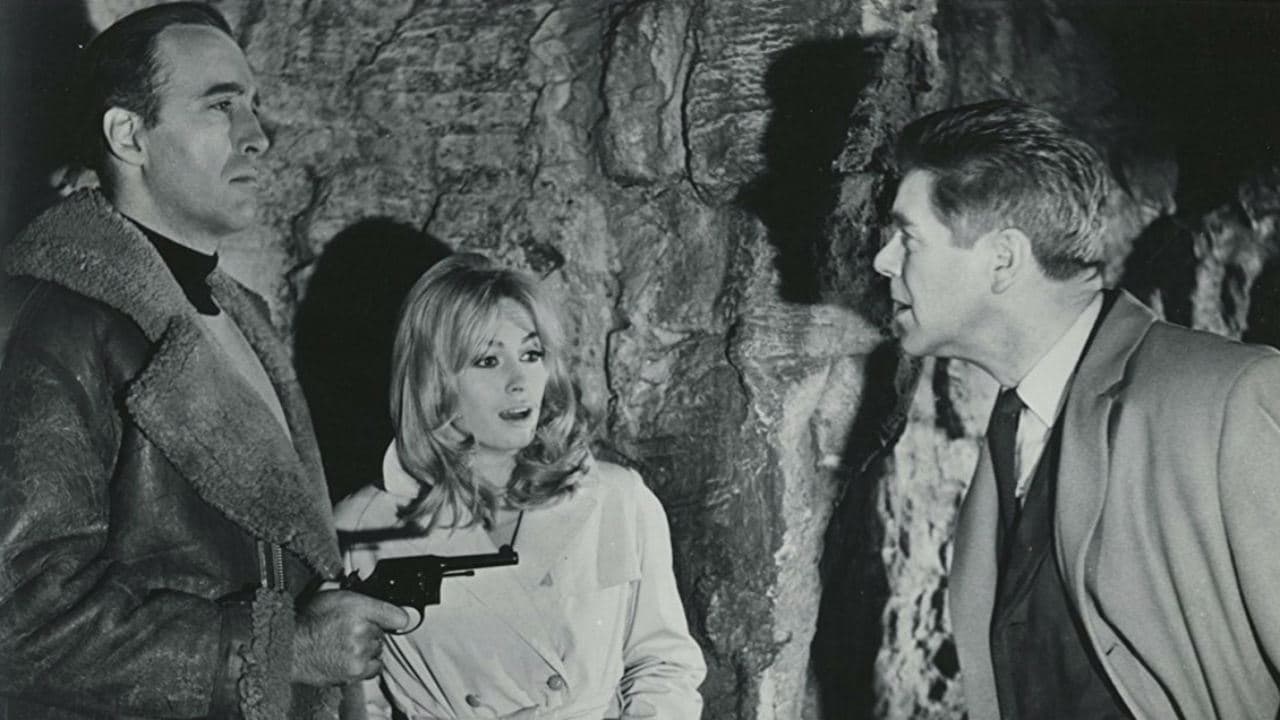 Circus of Fearの背景画像