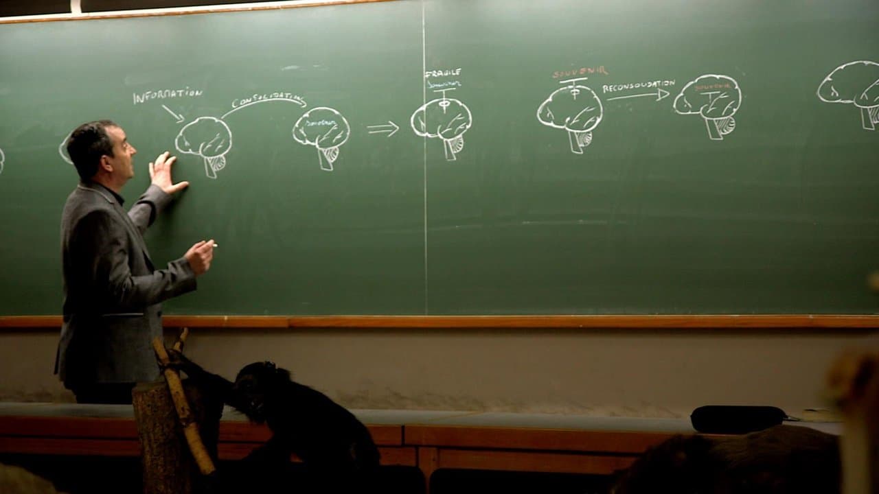 Tricky Memoryの背景画像