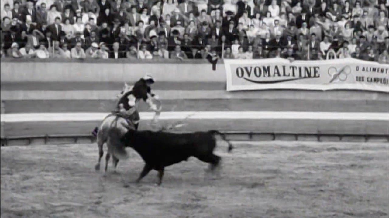 Born to Fightの背景画像