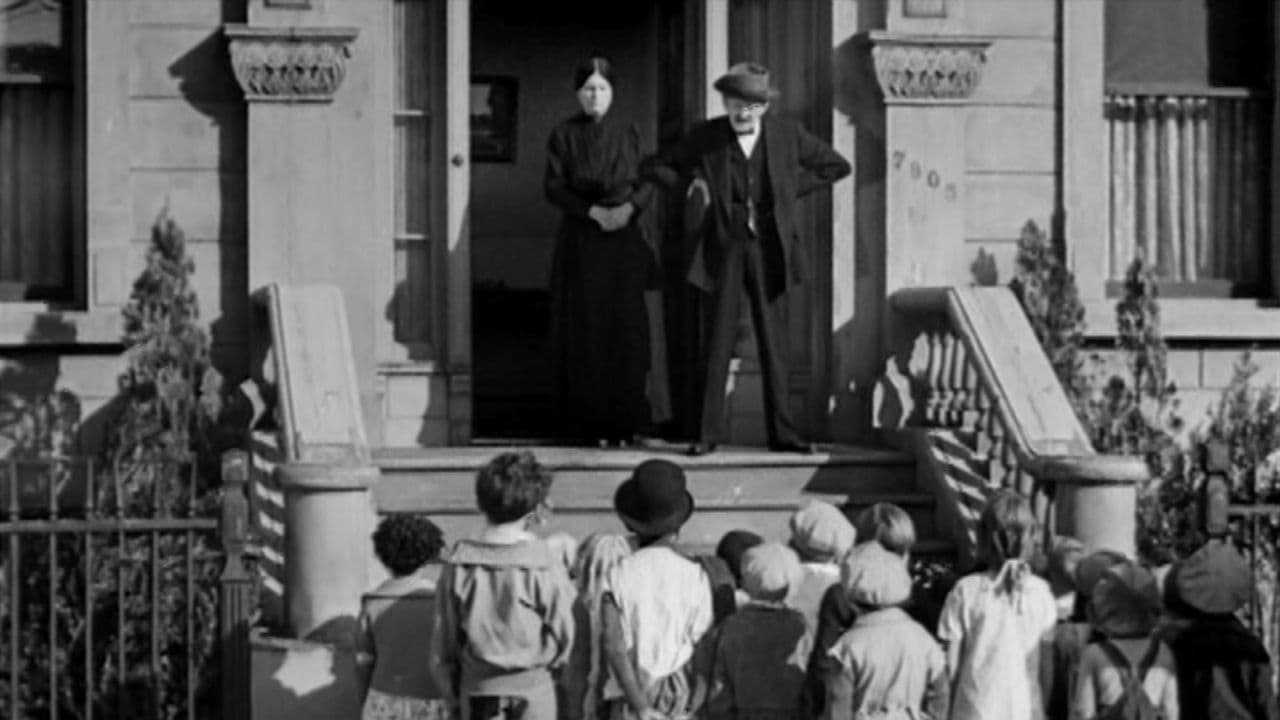 Shrimps for a Dayの背景画像