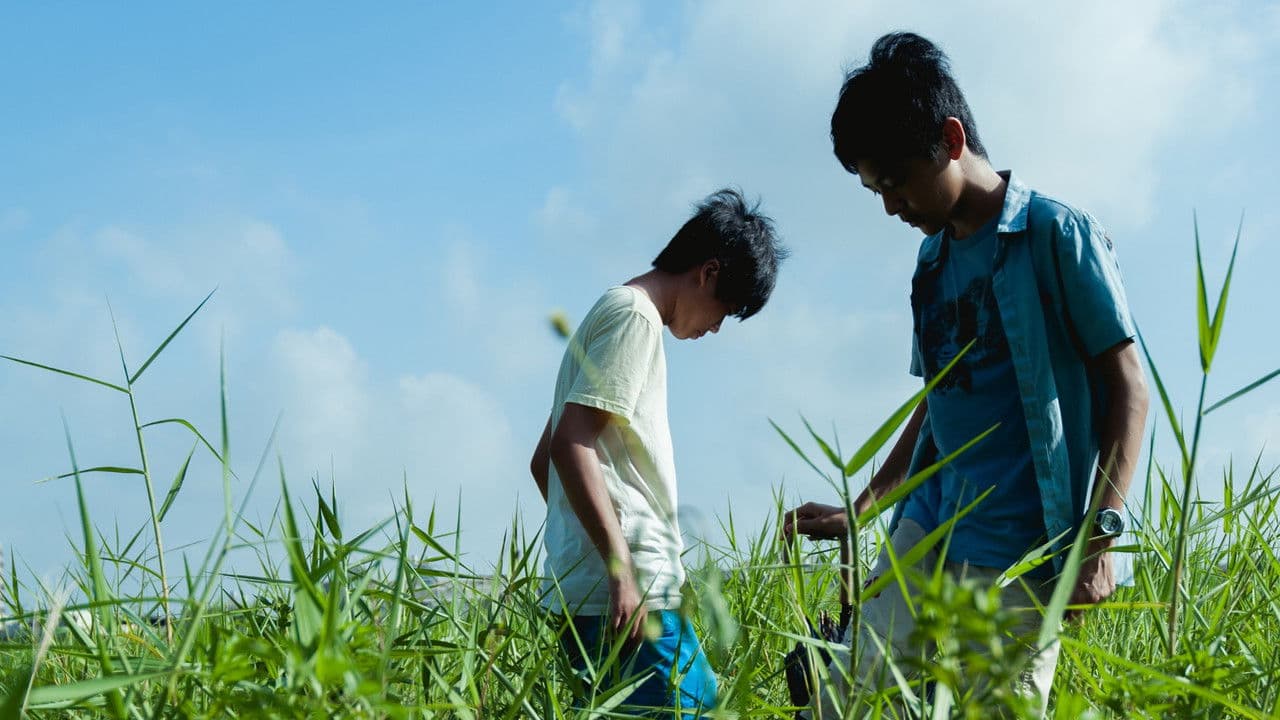 夏日紀事の背景画像