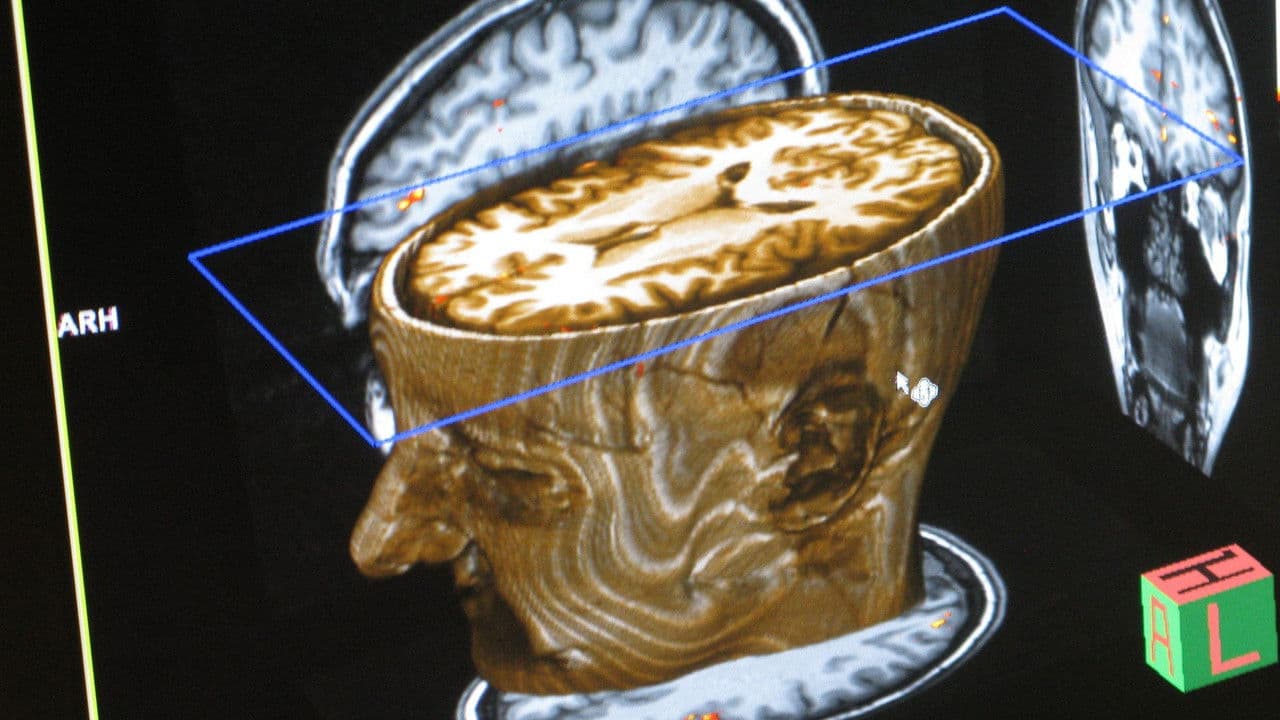 Journey Into Dyslexiaの背景画像