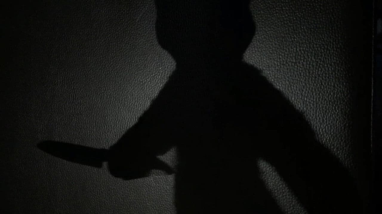 The Docの背景画像