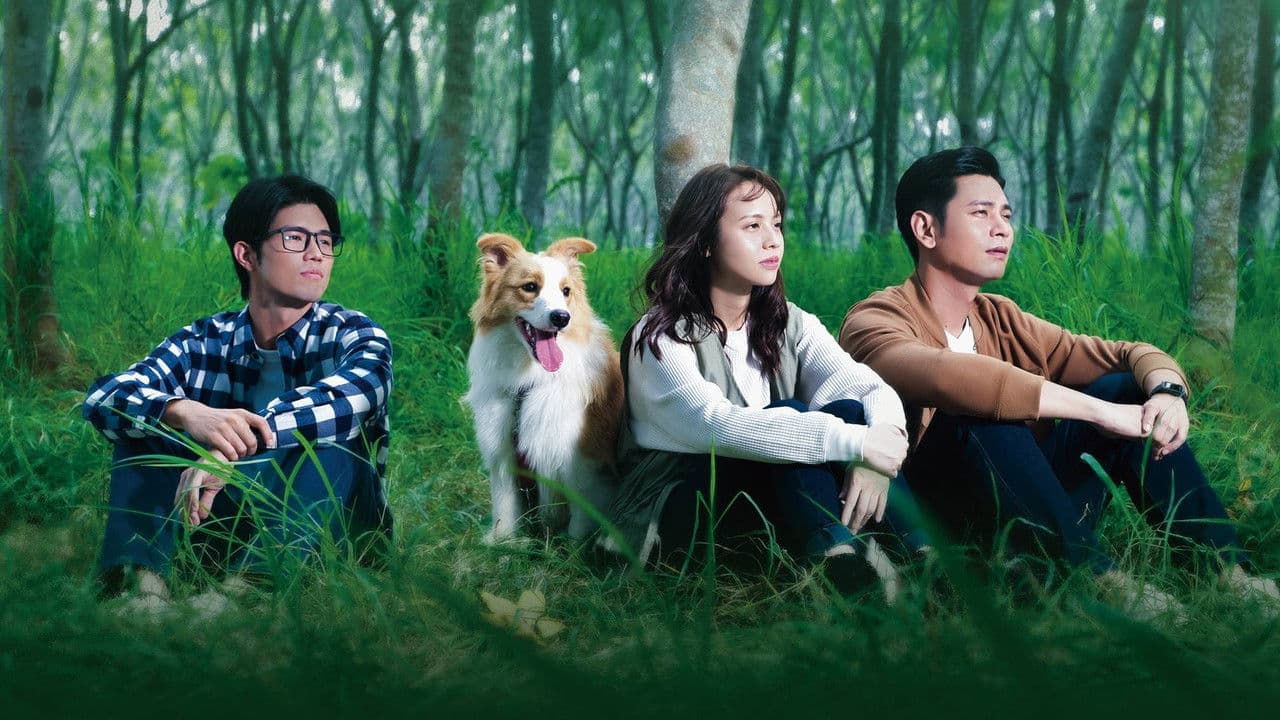 再見之後の背景画像