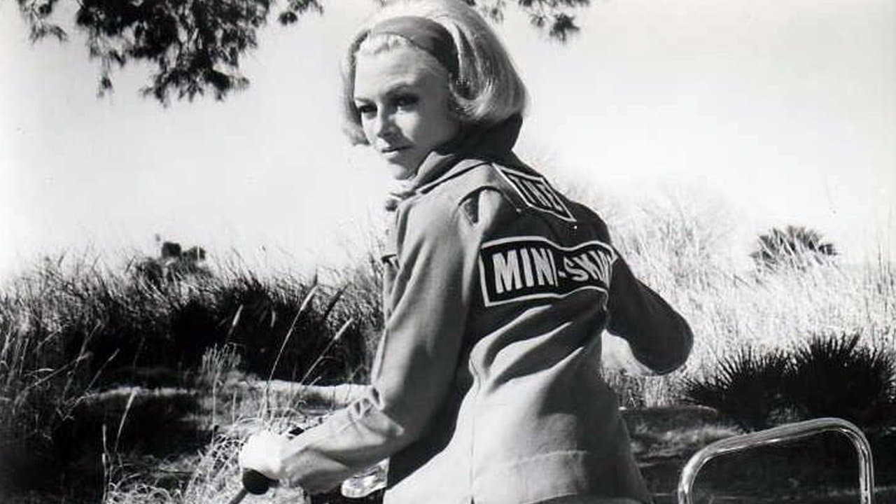 The Mini-Skirt Mobの背景画像