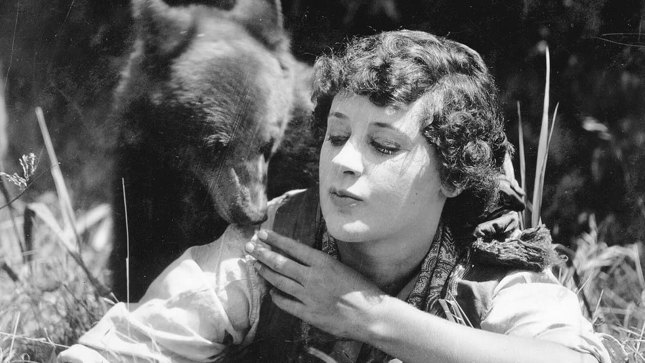 The Grub Stakeの背景画像