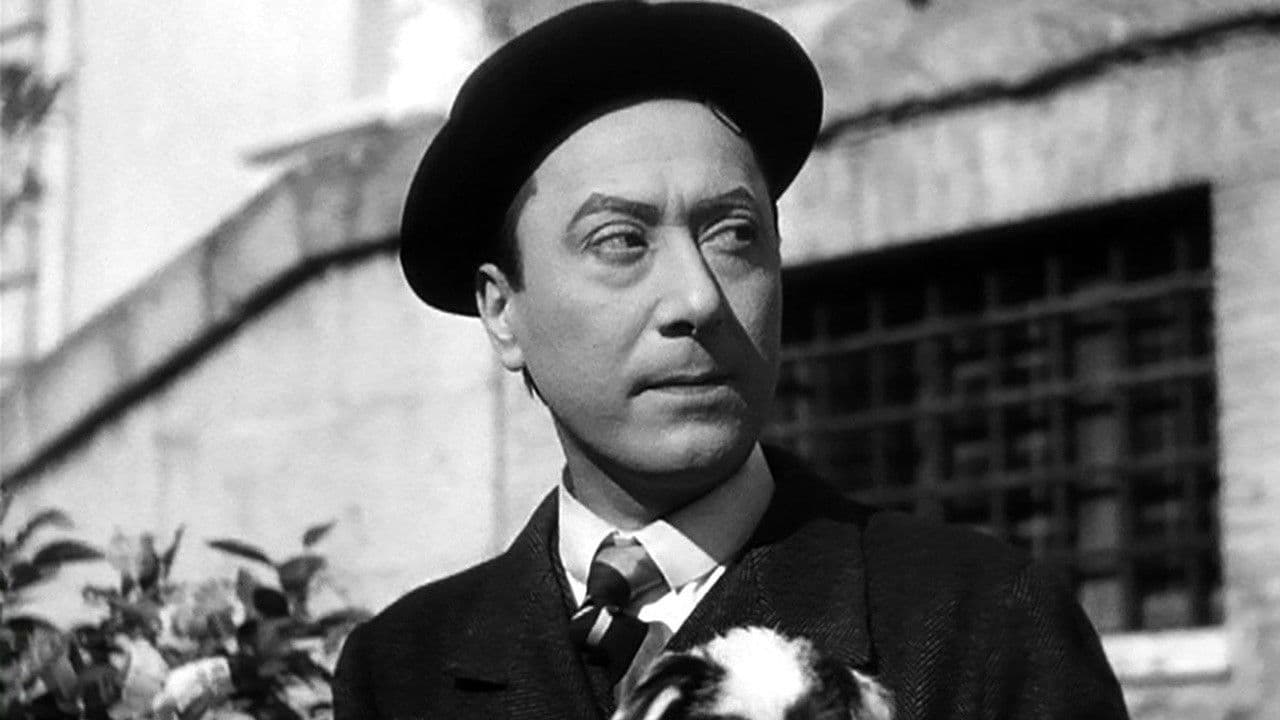 L'innocente Casimiroの背景画像