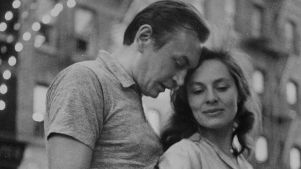 Weddings and Babiesの背景画像