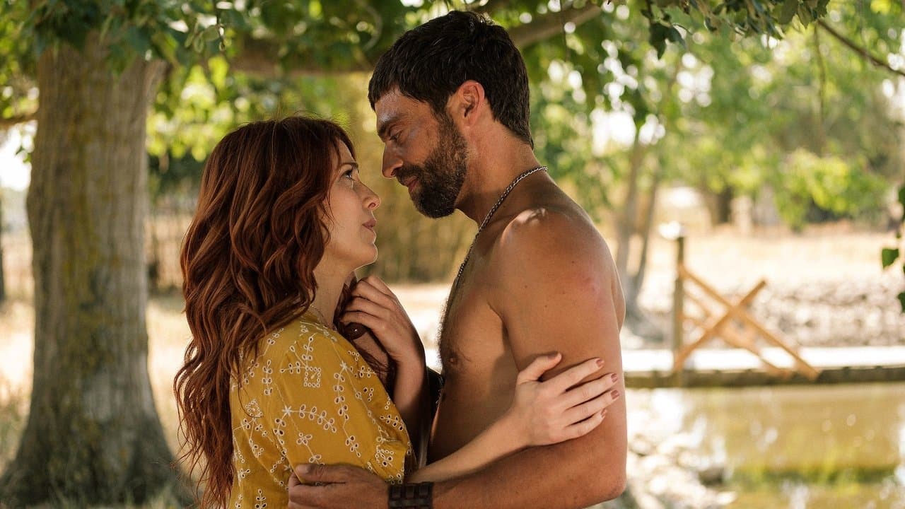 Pôr do Solの背景画像