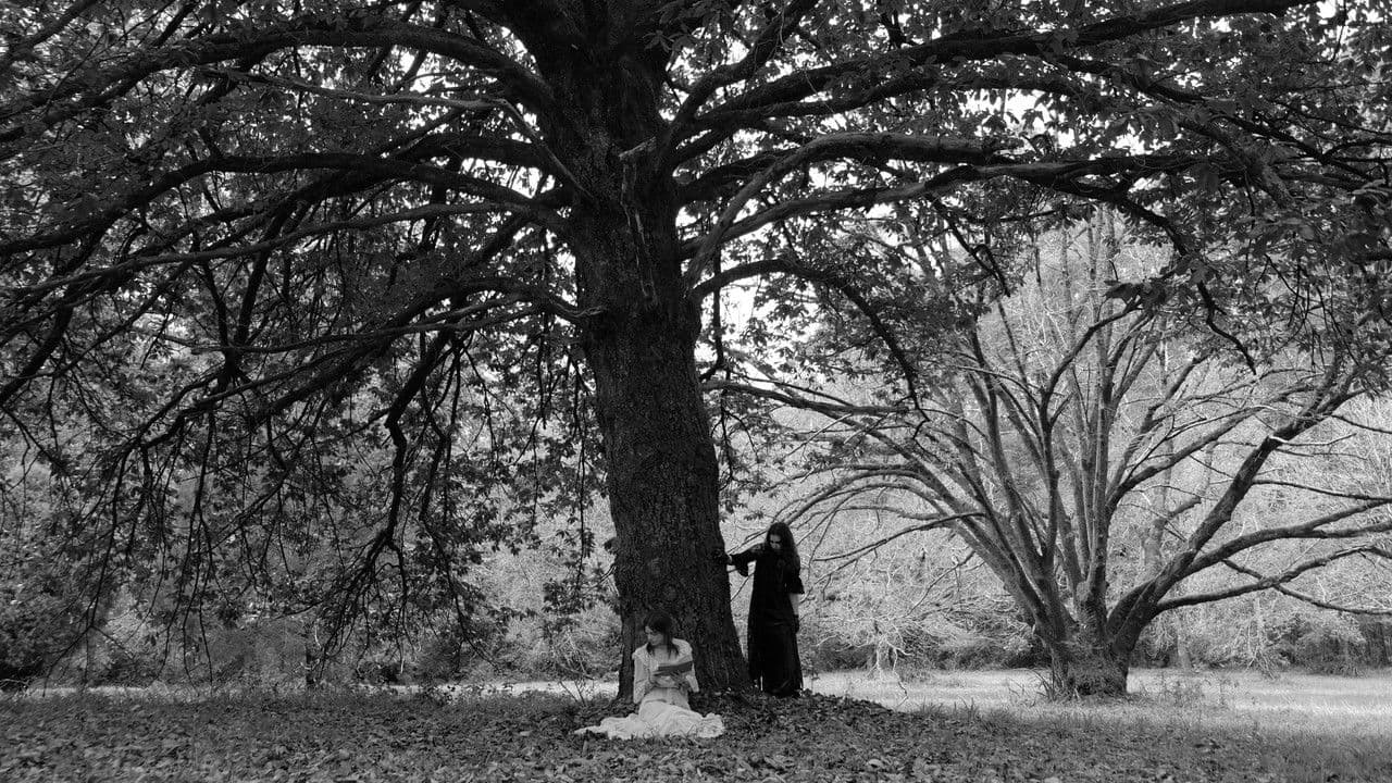 La Lune et Notre Sangの背景画像
