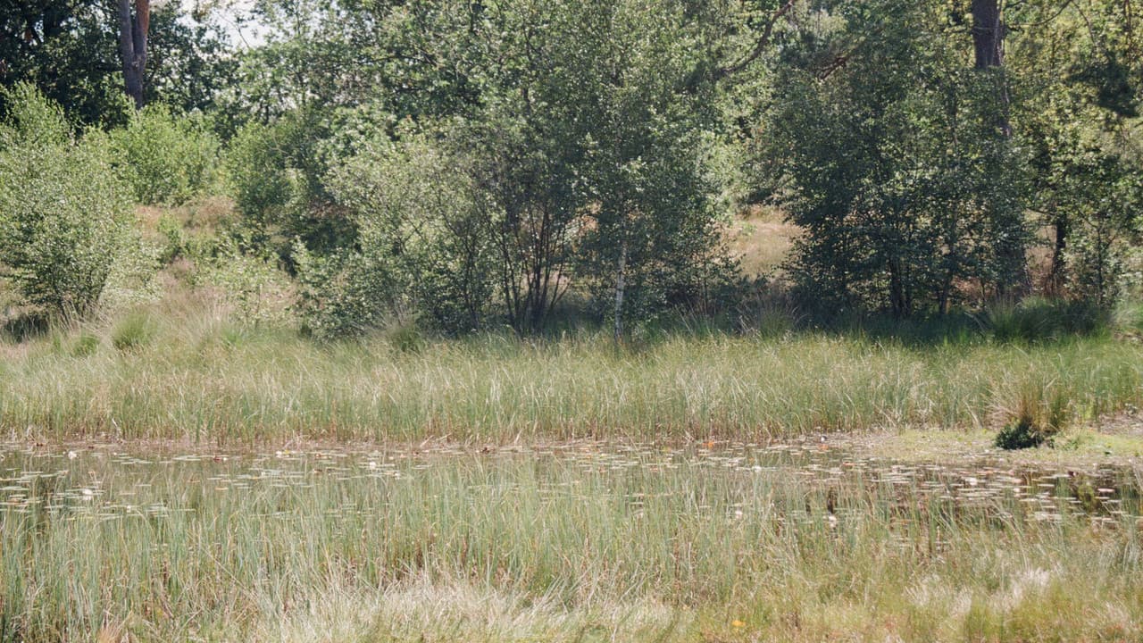 En Plein Airの背景画像