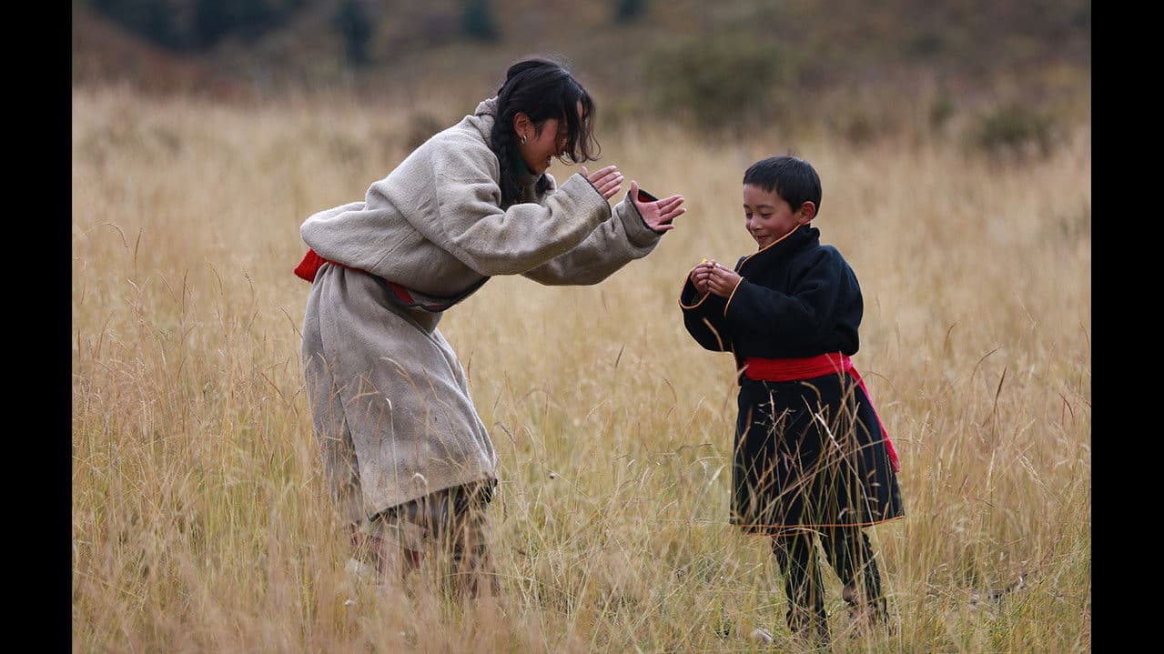 随风飘散の背景画像