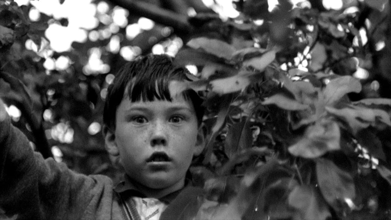 Arcadiaの背景画像