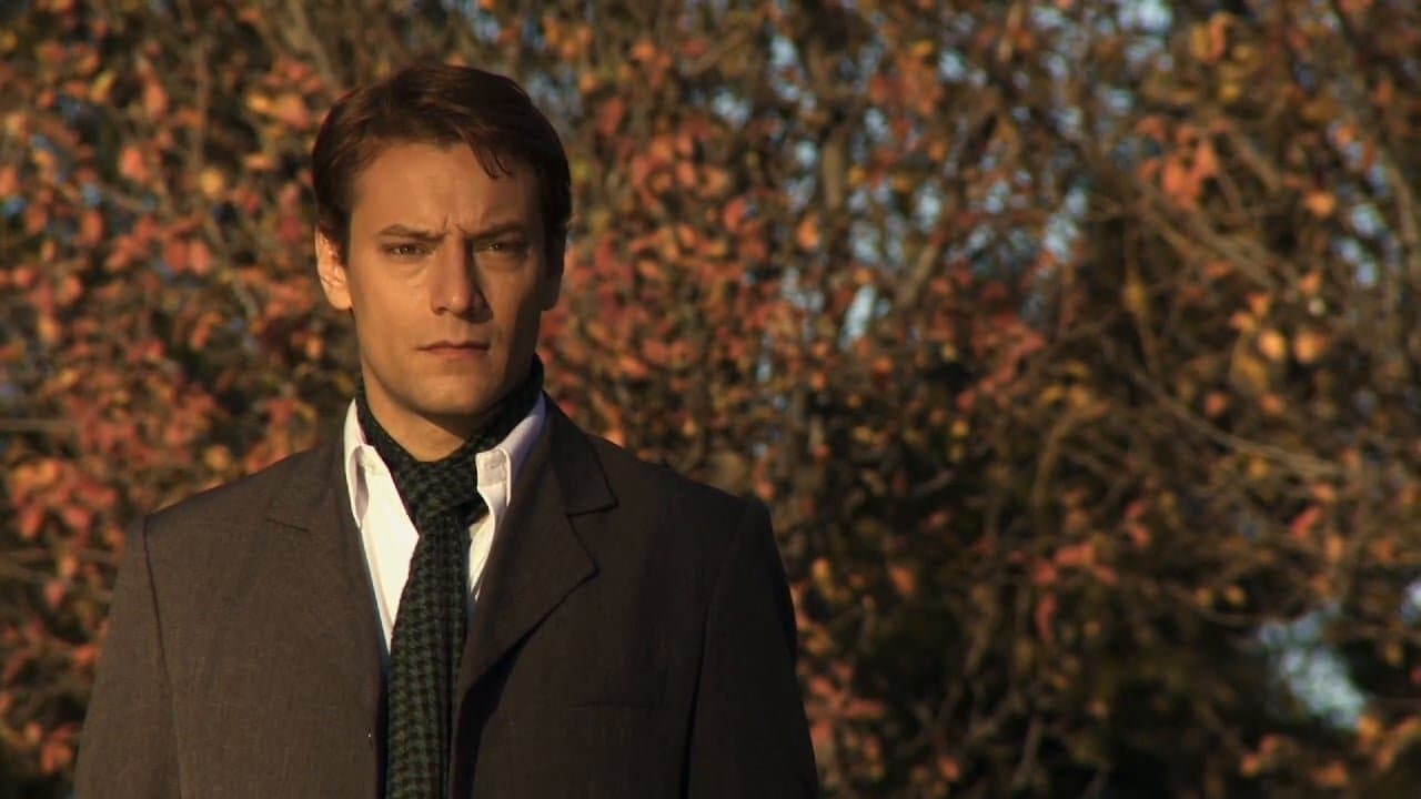 Schafhaus, casa de ovejasの背景画像