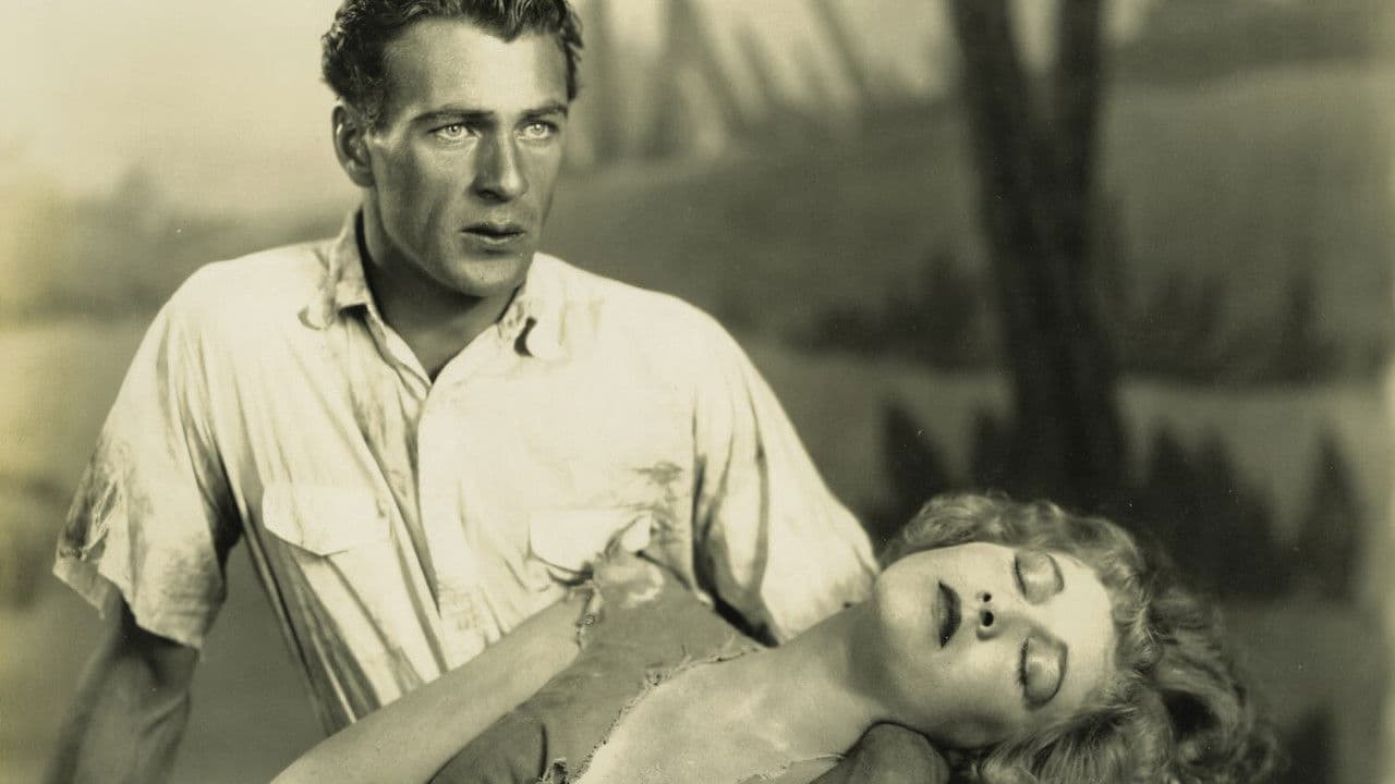 Half a Brideの背景画像