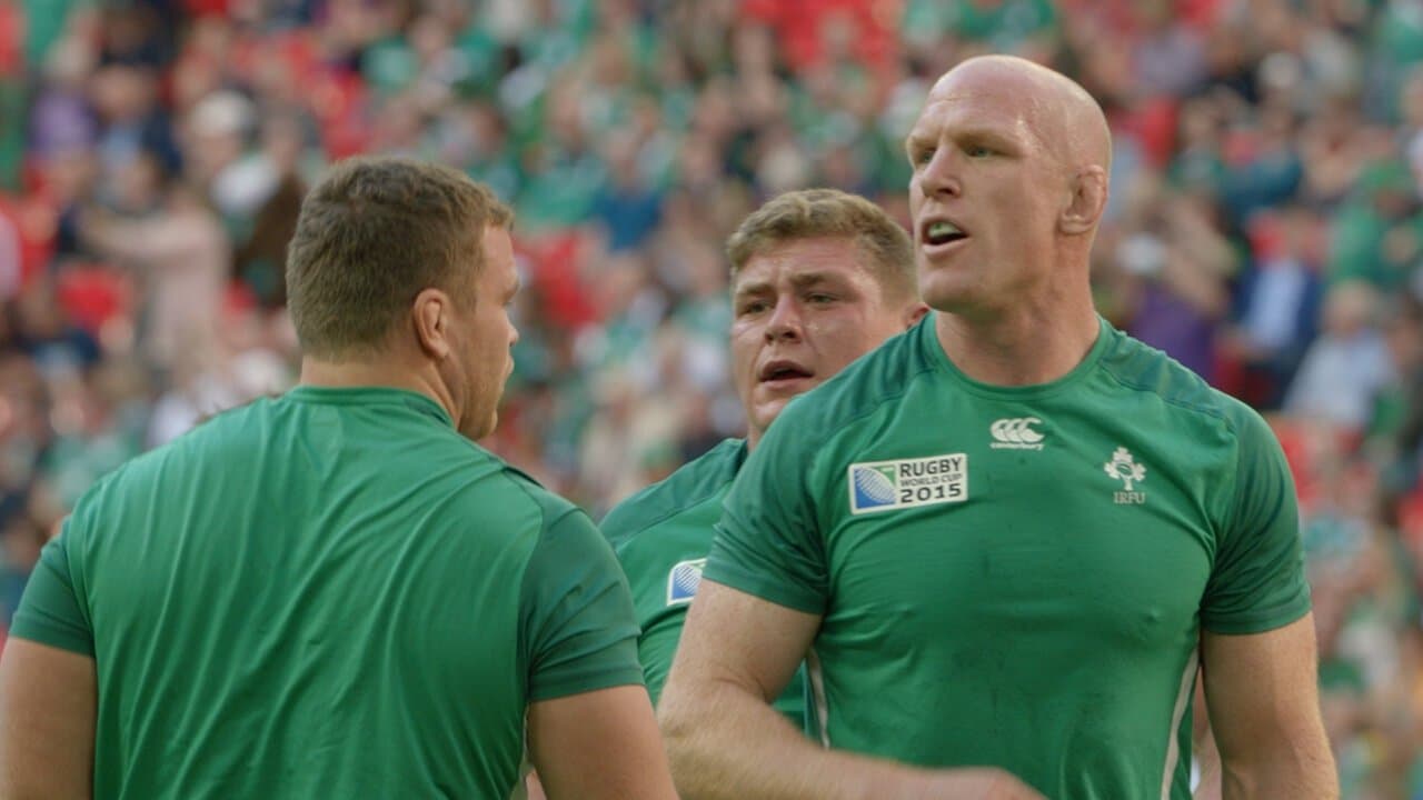 ラグビーワールドカップ2015 激闘の向こうにの背景画像