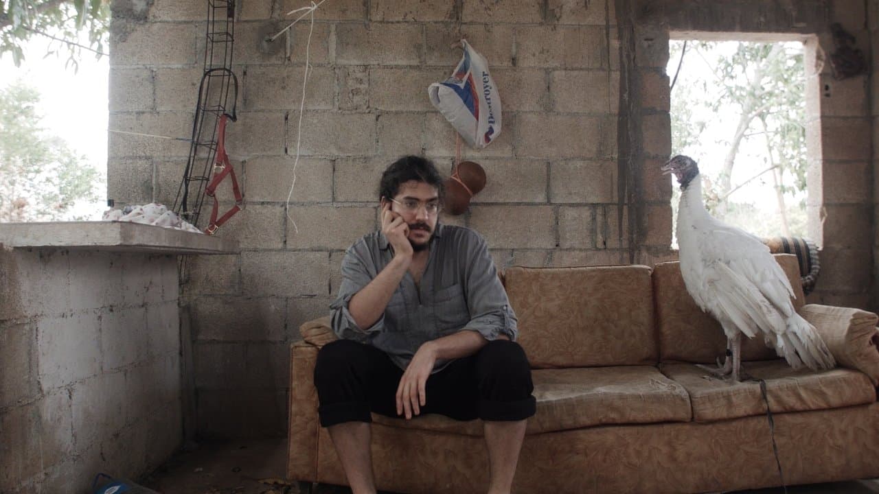 Out of Sight, Out of Mindの背景画像