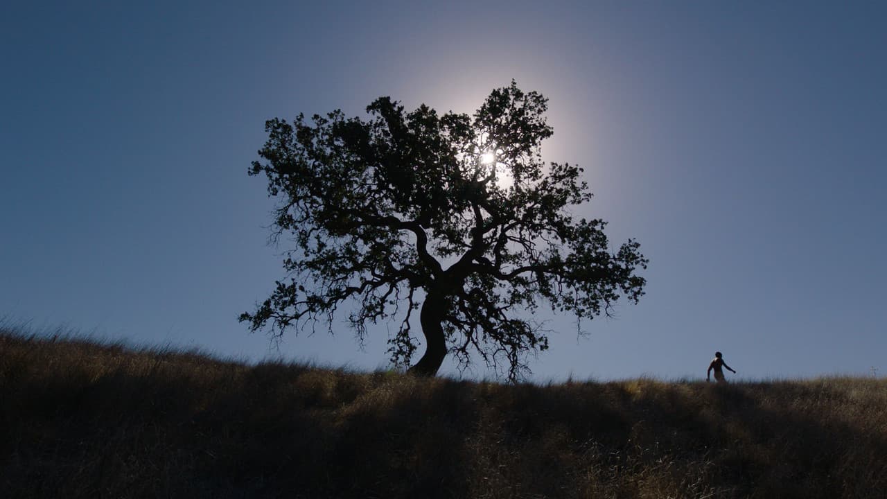 Rite of Passageの背景画像