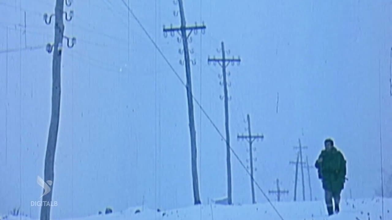 Rrugë të bardhaの背景画像