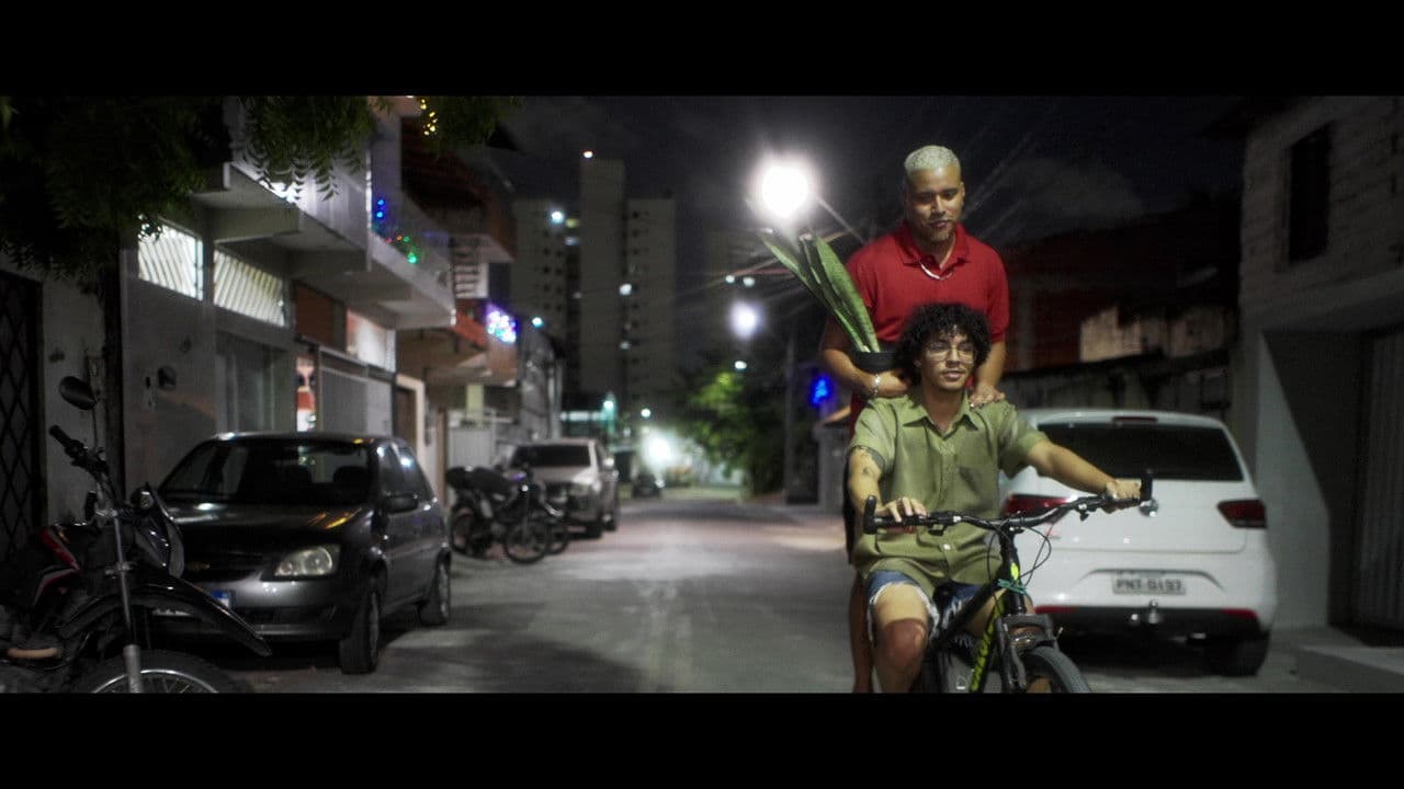 Rebordosaの背景画像