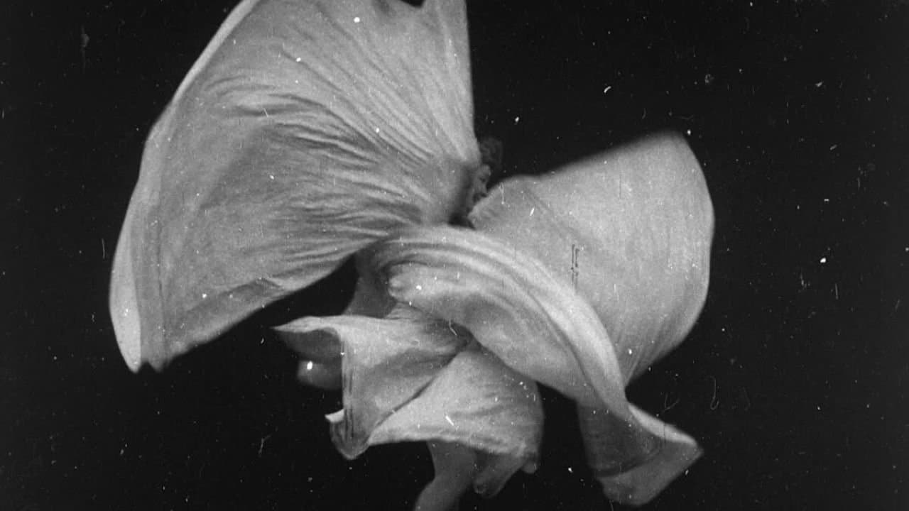 Danse serpentine par Mme. Bob Walterの背景画像