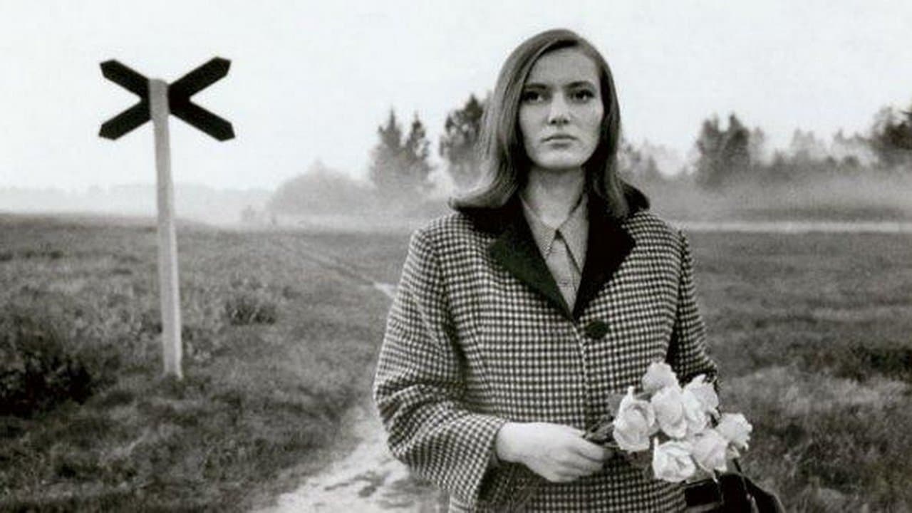 Pimedad aknadの背景画像