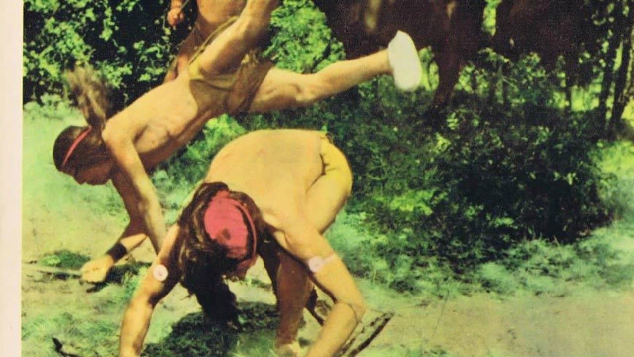 Indian Paintの背景画像