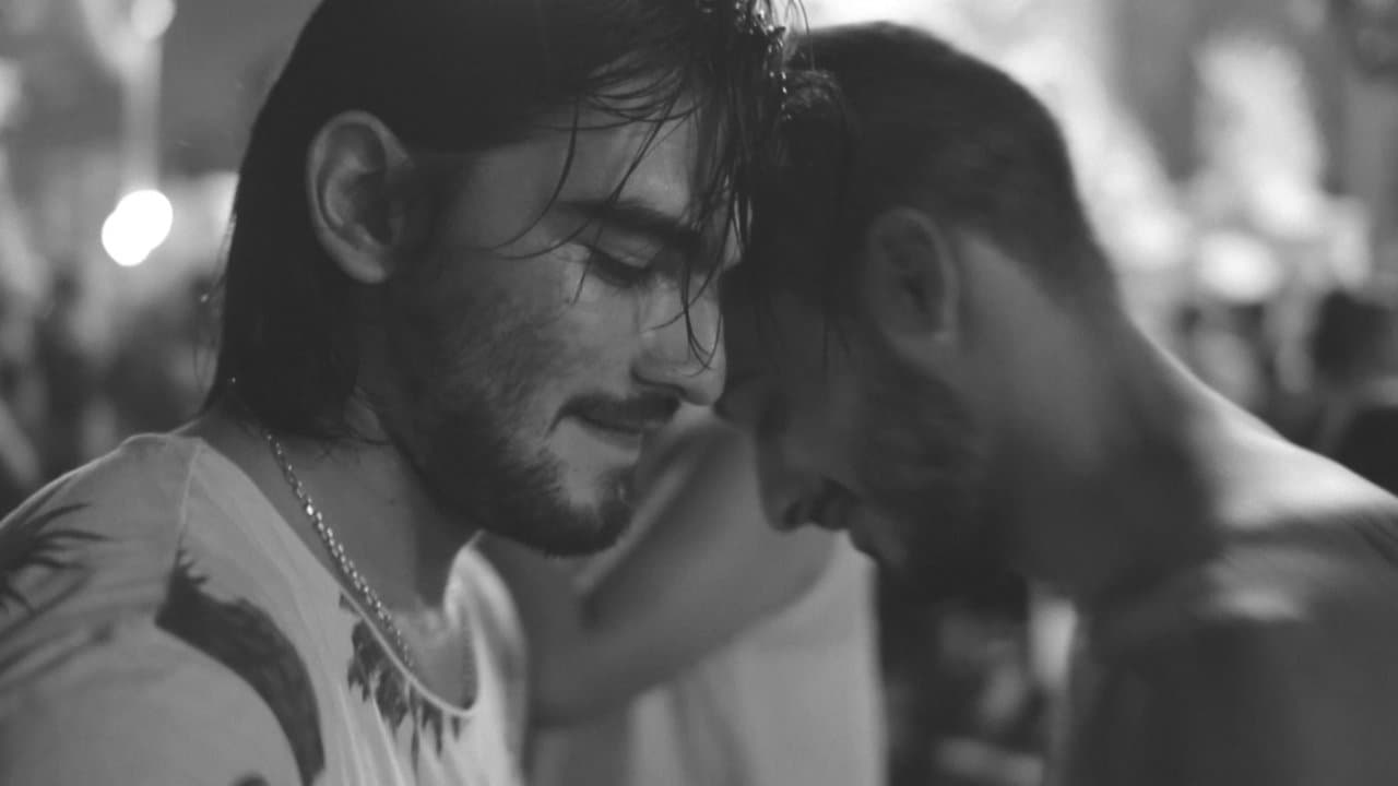 El fulgorの背景画像