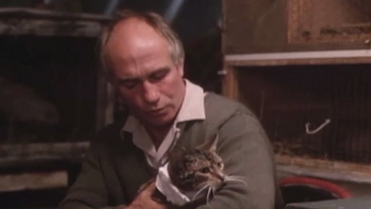 Mr. Loveの背景画像