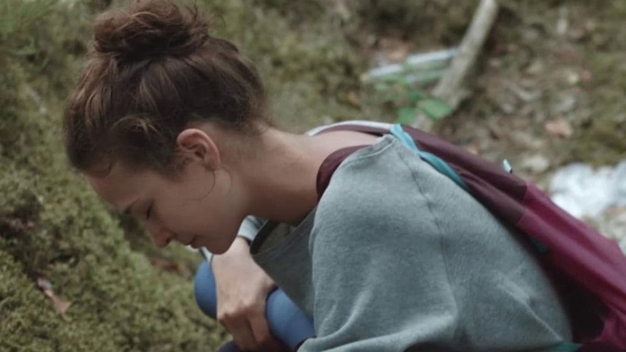 Пляж/Лес/Тамбурの背景画像