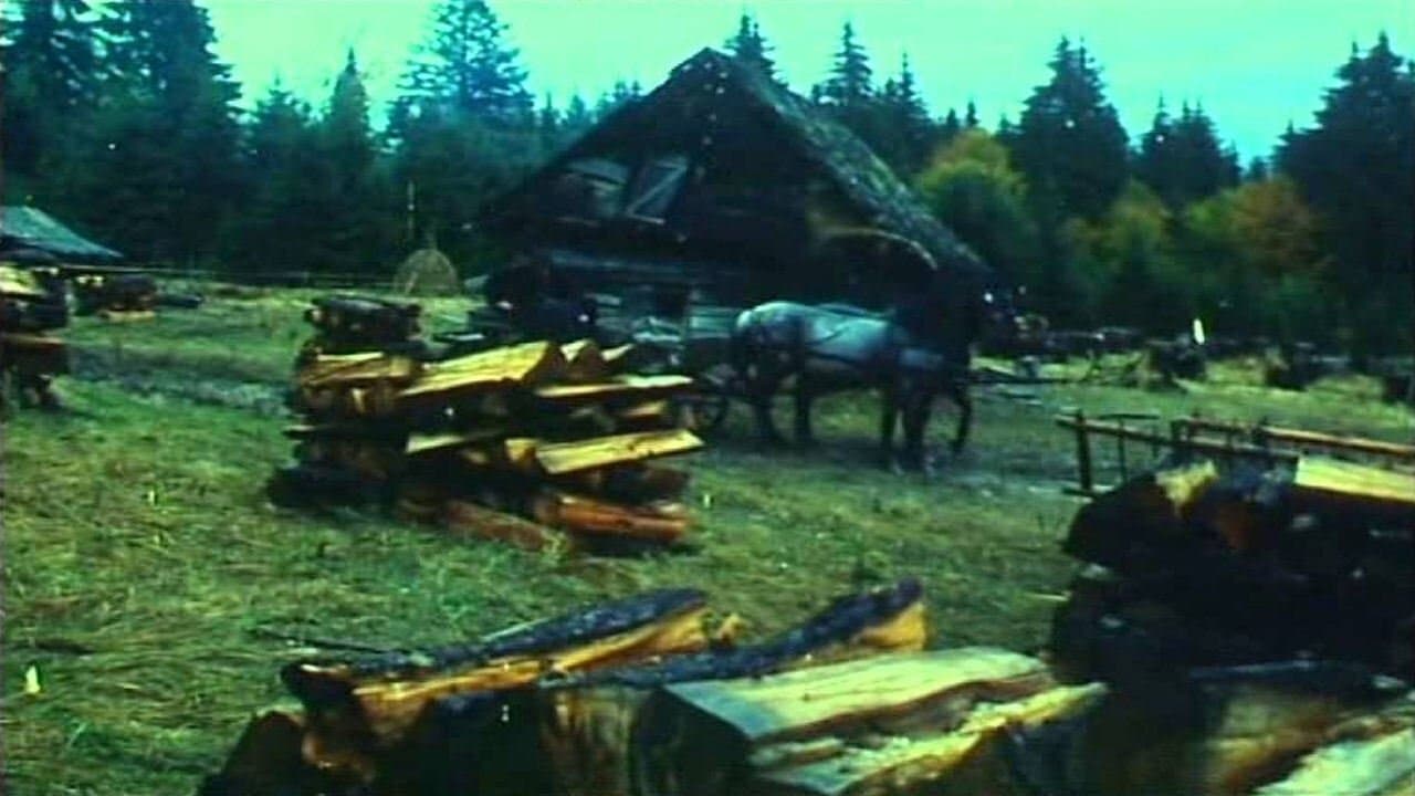 Ábel a rengetegbenの背景画像