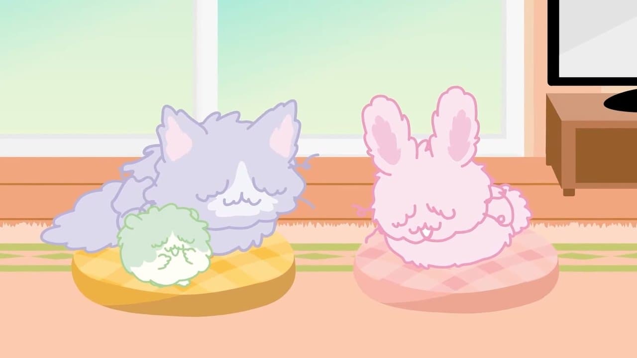 ぼさにまるの背景画像